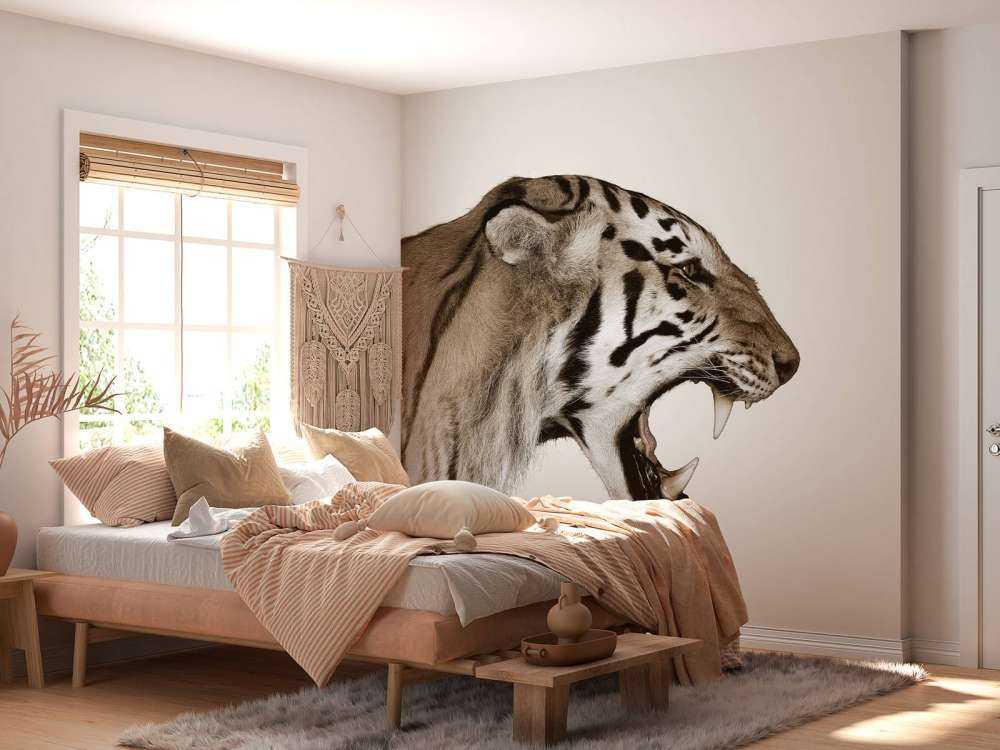 Brüllender Tiger cremefarben