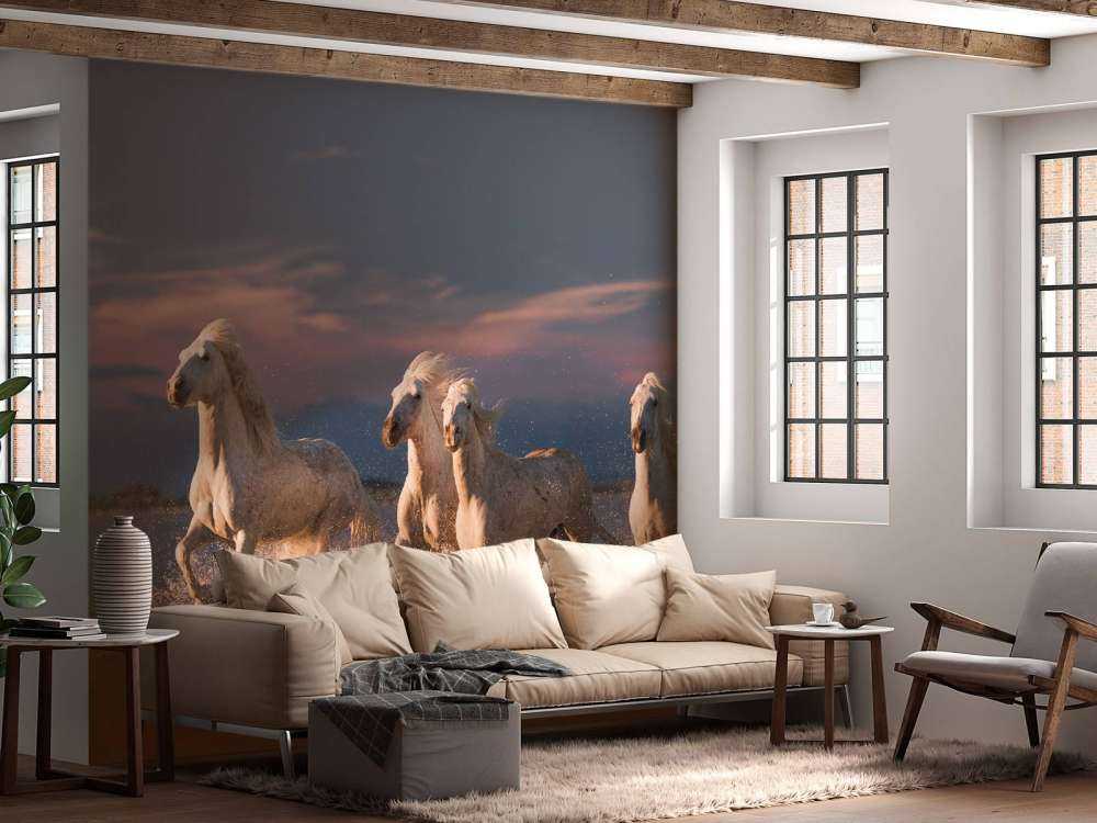 Angels of Camargue