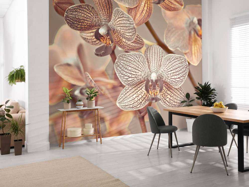 Nahaufnahme einer Orchidee