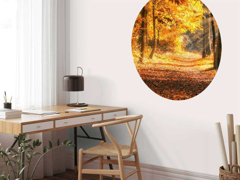 Panorama im Herbst
