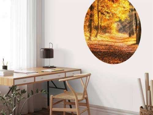 Panorama im Herbst