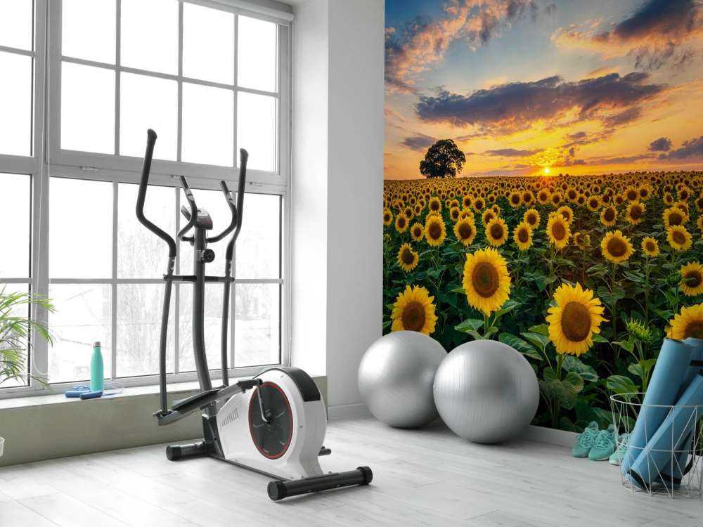 Feld voller Sonnenblumen