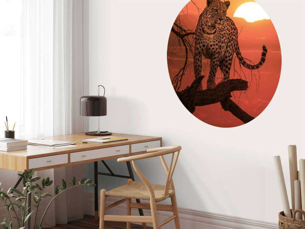 Leopard mit untergehender Sonne