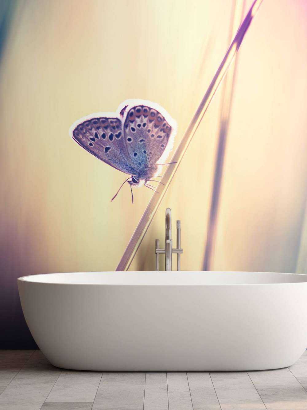 Verträumter Schmetterling