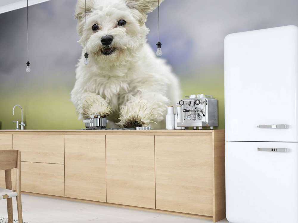 Laufender Hund