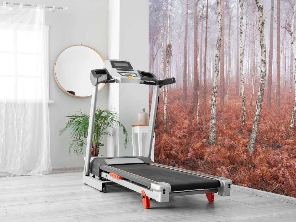 Verlassener nebliger Wald
