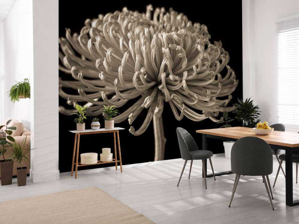 Große Kosmosblüte
