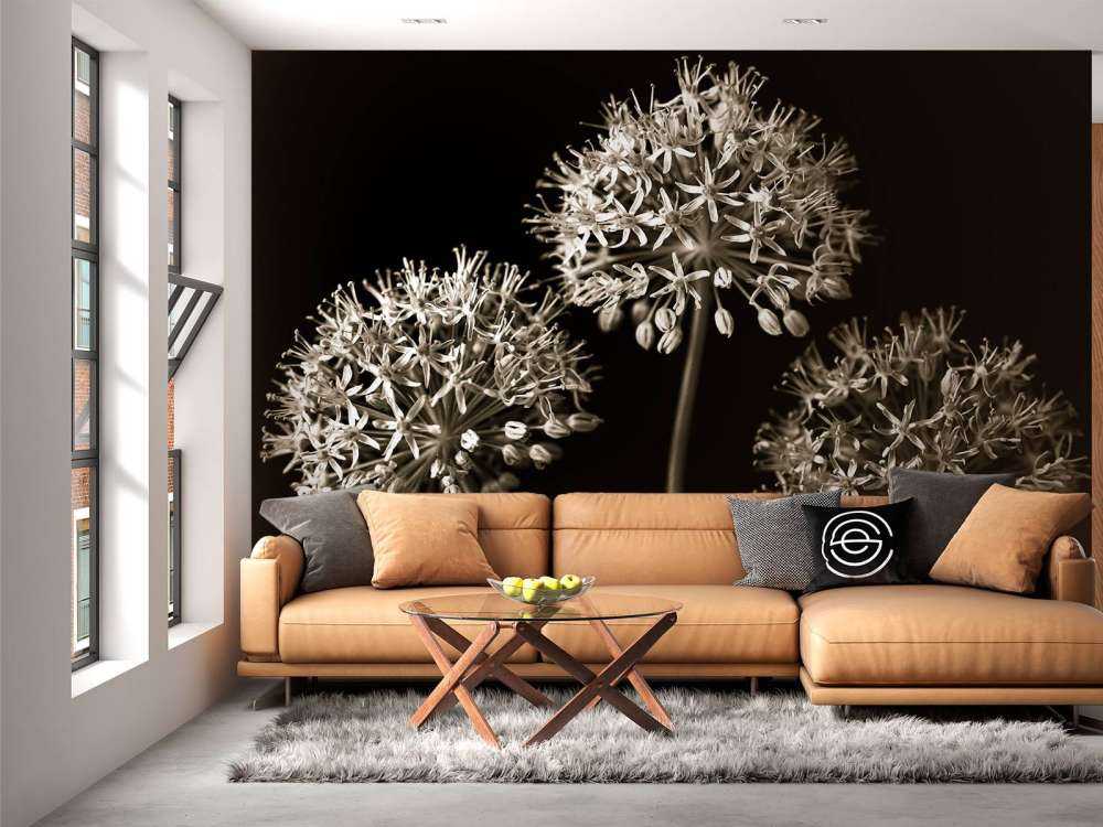 Drei Allium