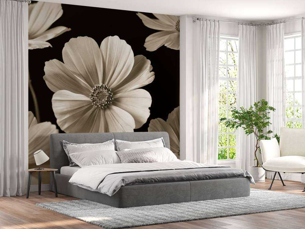 Mehrere Cosmos-Blüten