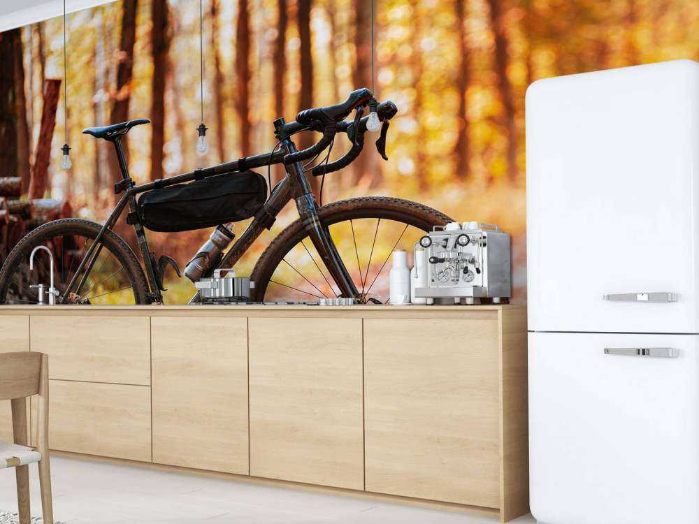 Fahrrad im Herbst