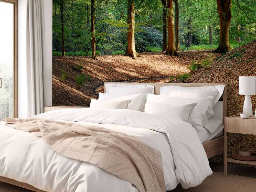 Bächlein im Wald