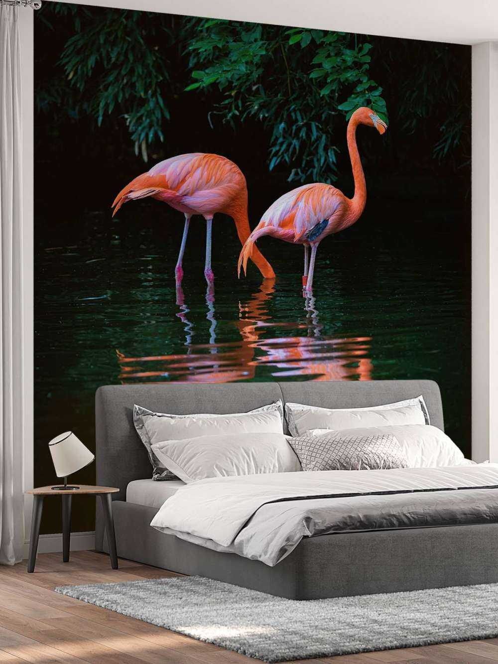 Karibische Flamingos