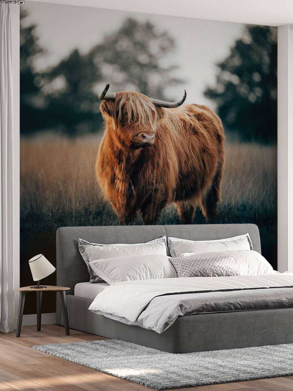 Porträt von Highlandern