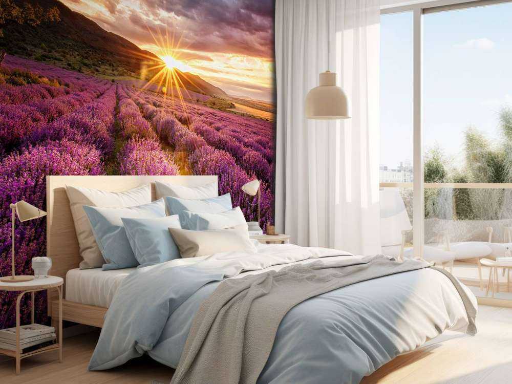 Lavendel unter der Sonne