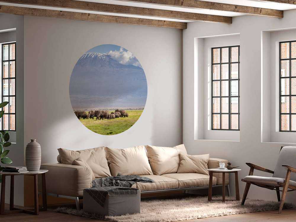 Afrikanische Elefanten