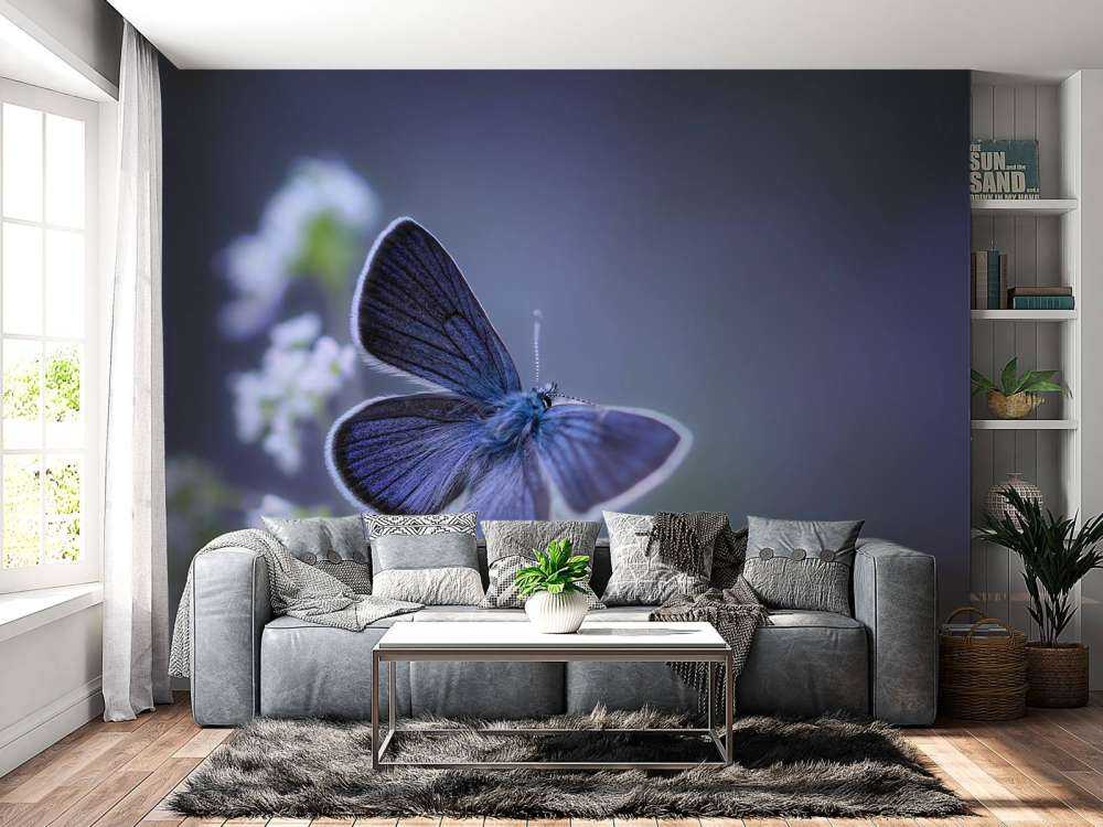 Blauer Schmetterling