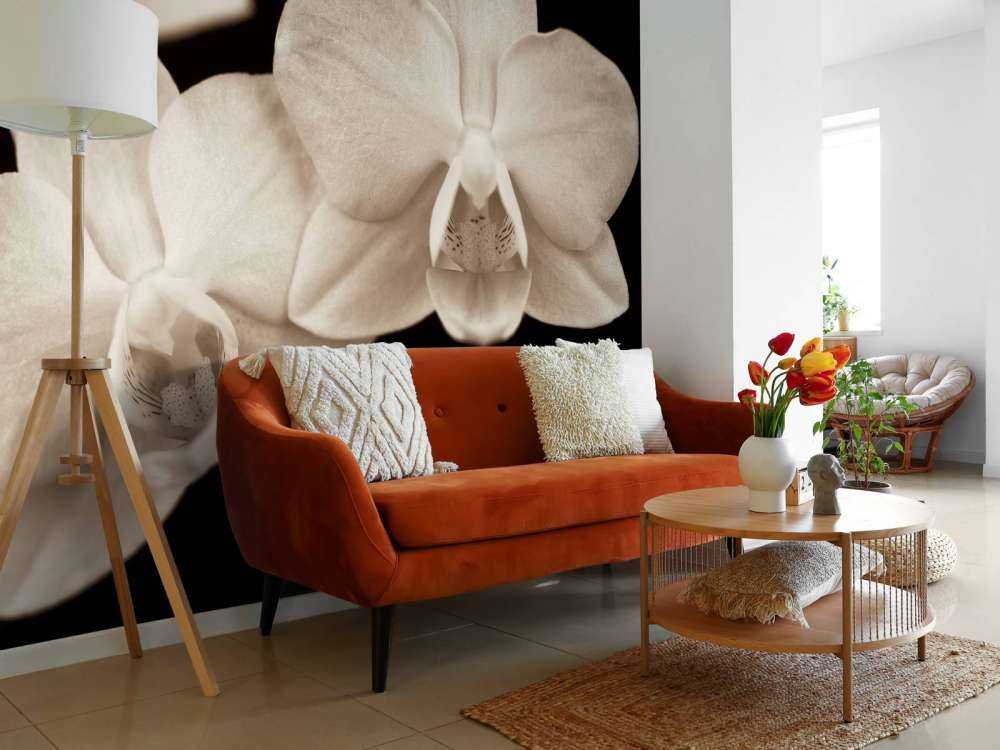 Weiße Orchideen