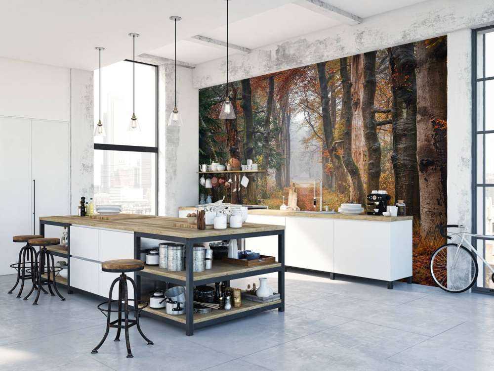 Waldweg mit alten Bäumen