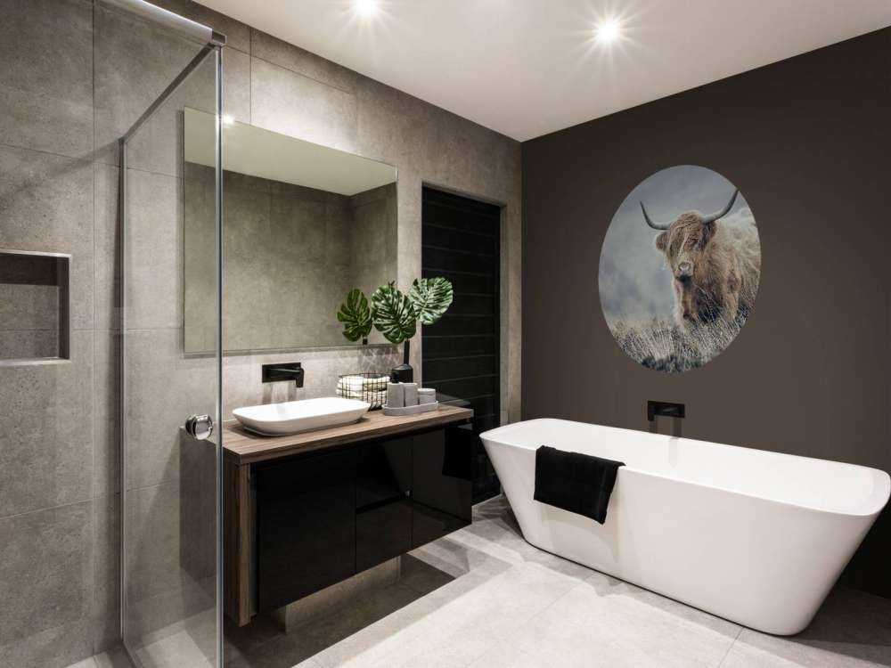 Schottische Hochländer in der Natur