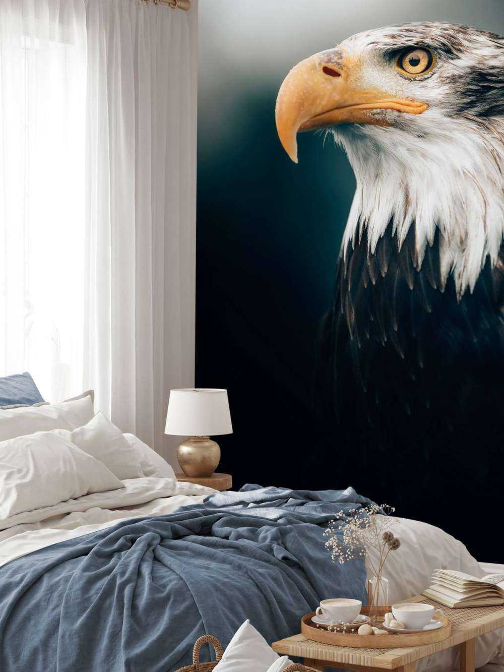 Nahaufnahme Seeadler
