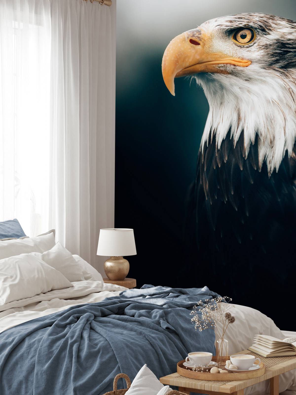Nahaufnahme Seeadler