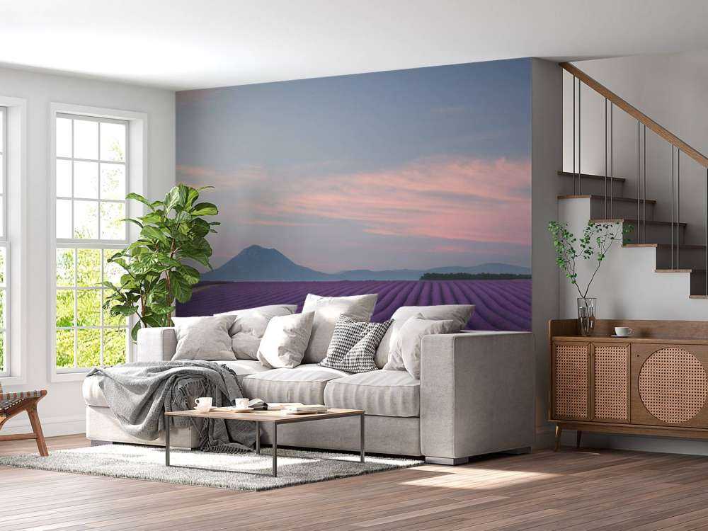 Lavender field