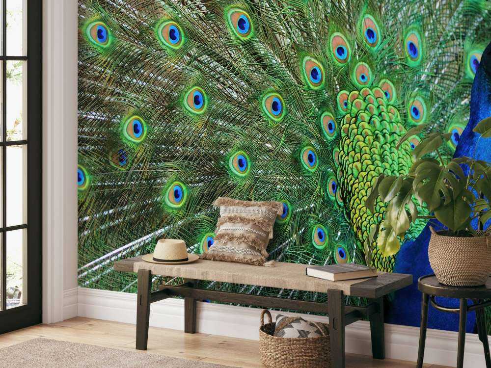Pfau