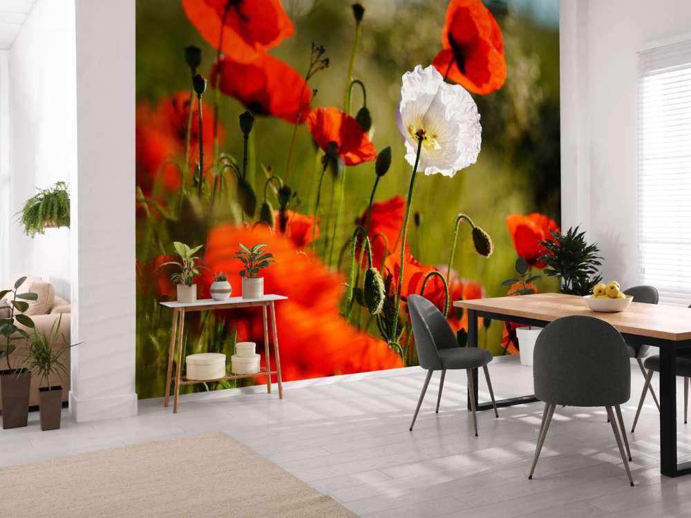 Gruppe von Mohnblumen