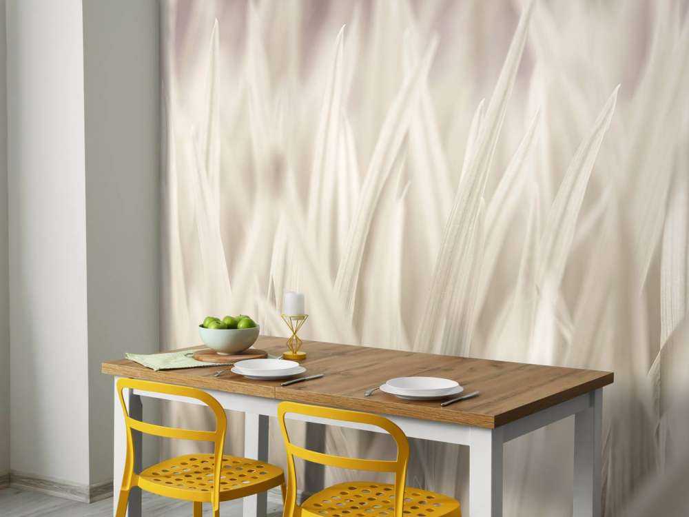 Nahaufnahme von Grashalmen