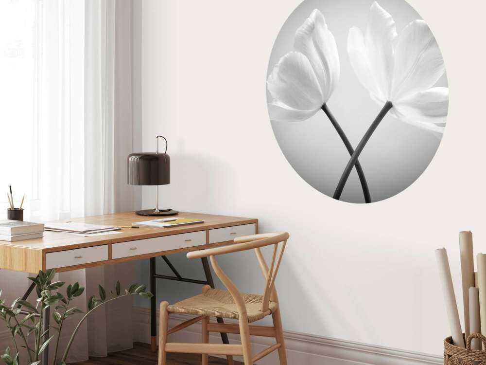 Porträt Tulpen