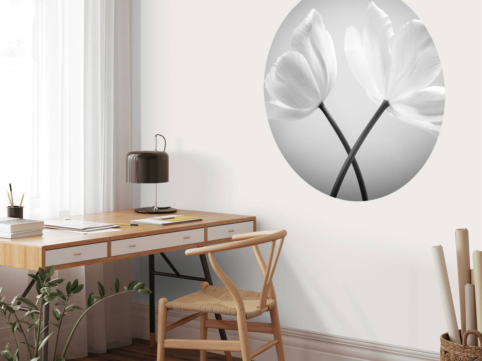 Porträt Tulpen
