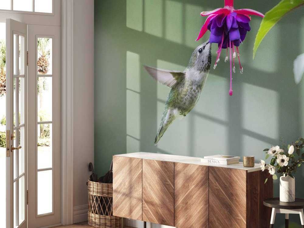 Kolibri trinkt