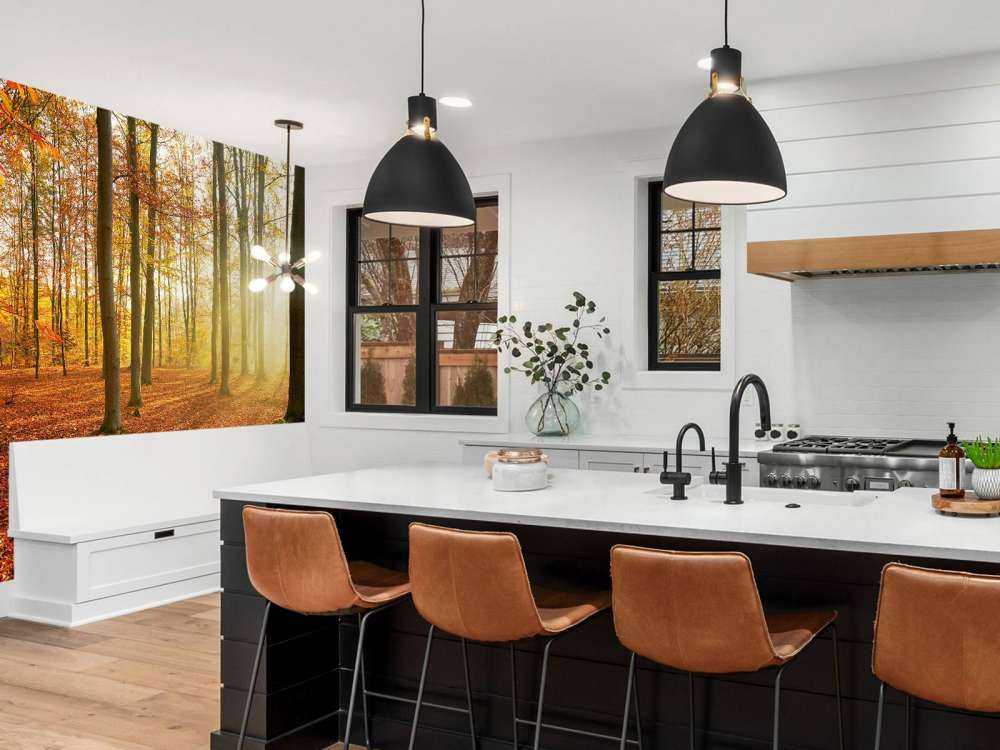 Herbstmorgen im Wald