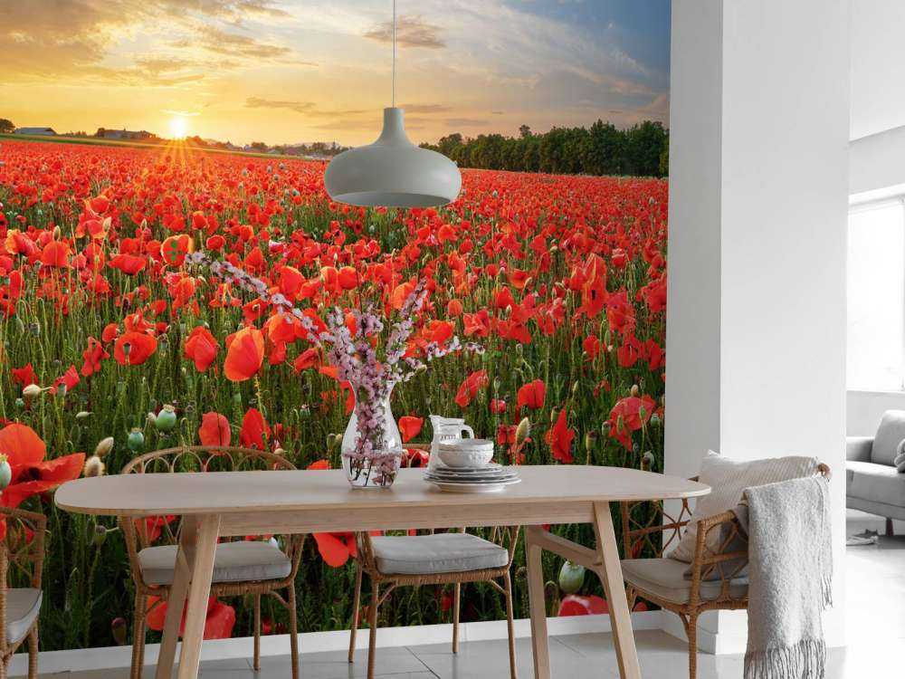 Sonnenuntergang mit Mohnblumen