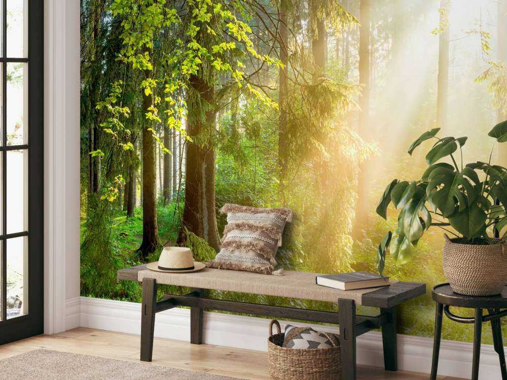 Waldlandschaft bei Sonnenaufgang