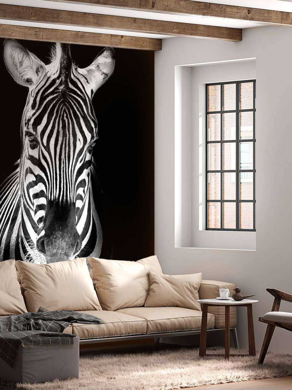 Nahaufnahme Zebra schwarz-weiß