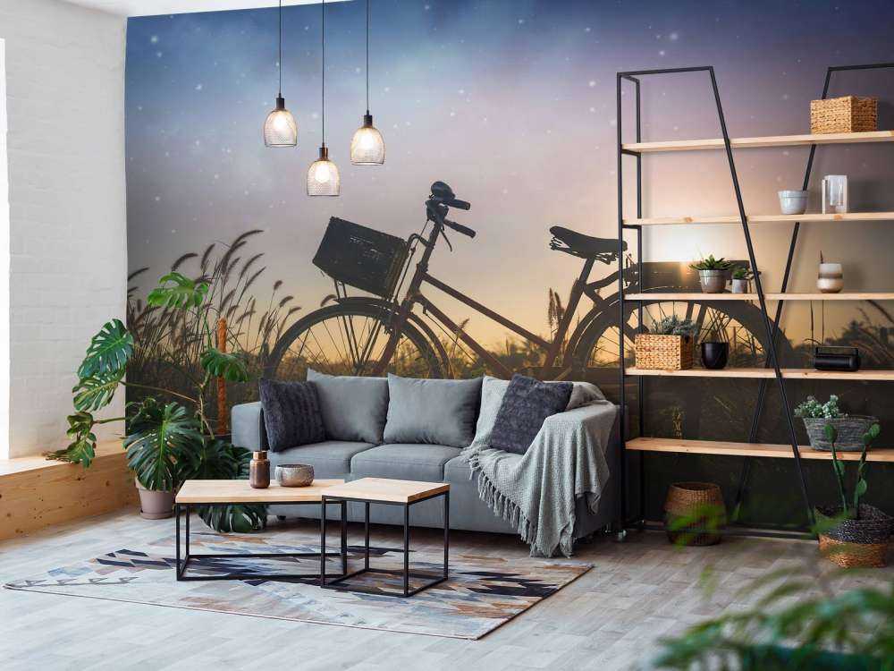 Silhouette Fahrrad