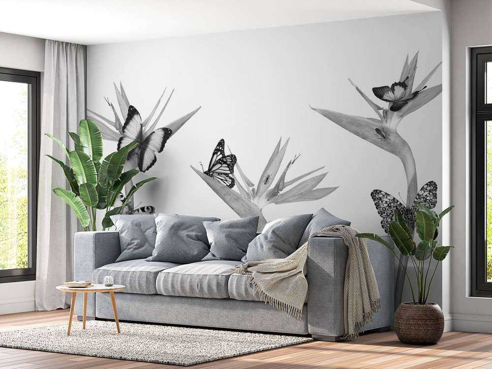 Schmetterlinge auf Paradiesvogelblumen