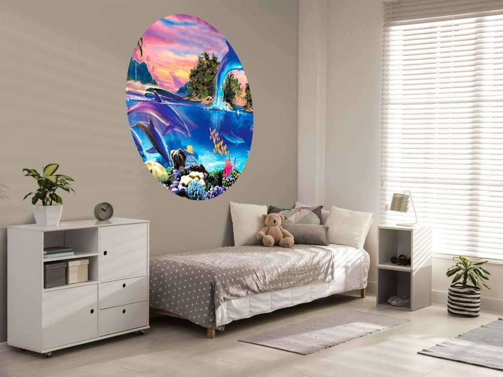 Dolphin Panorama