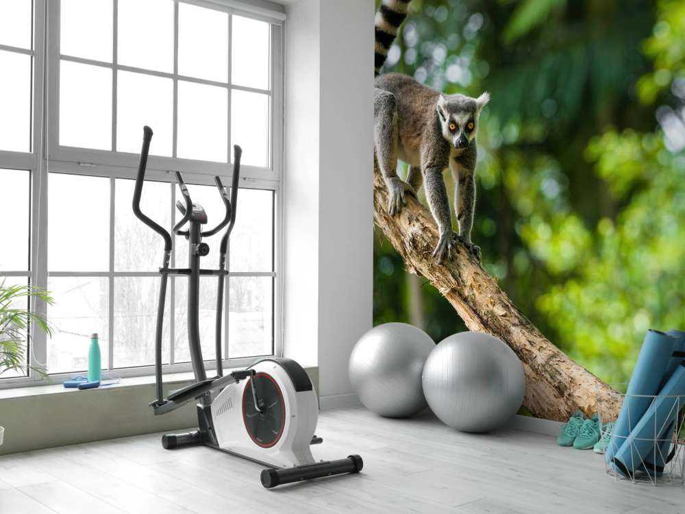 Ringelschwanzaffe in einem Baum