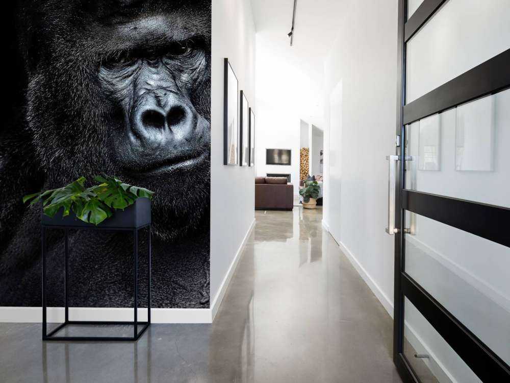 Gorilla