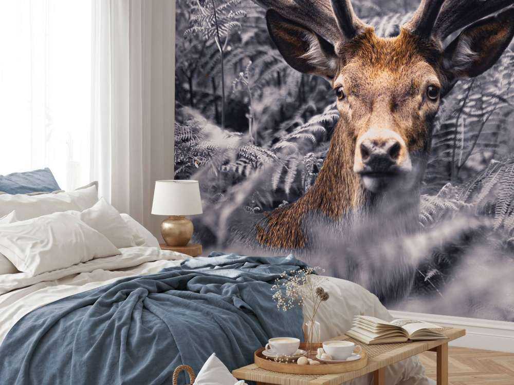 Nahaufnahme Hirsche