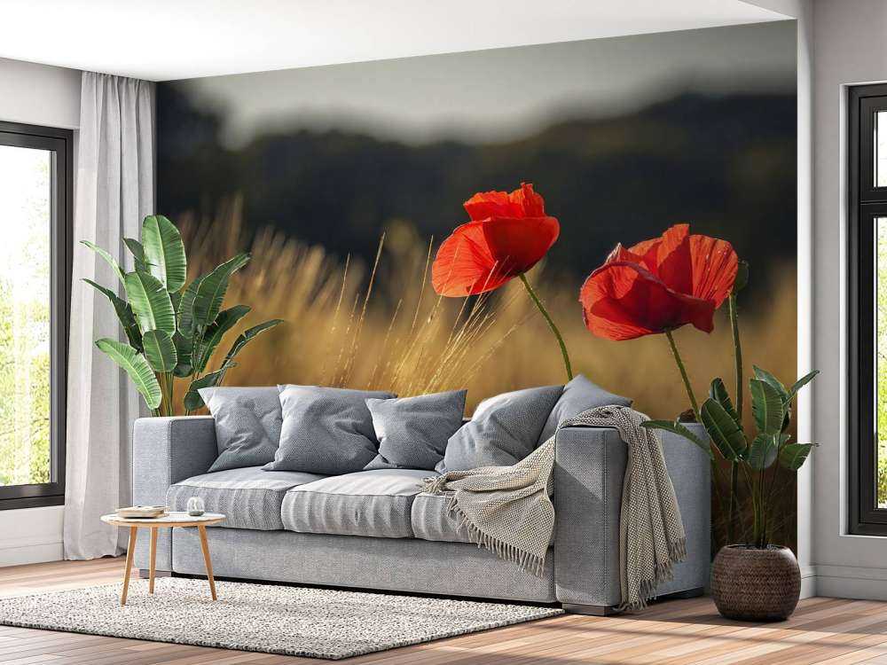 Mohn auf einem Weizenfeld