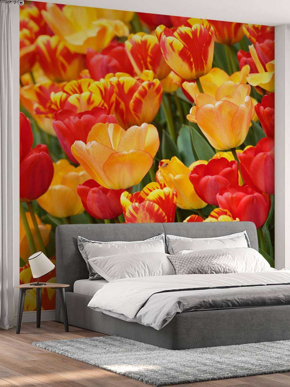 Farbige Tulpen