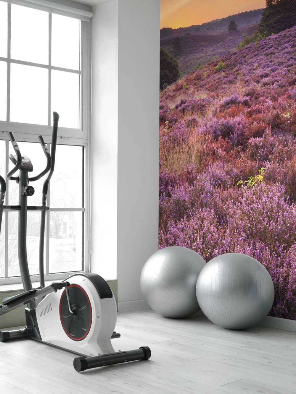 Posbank bei Sonnenuntergang