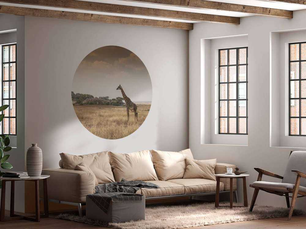 Giraffe in der Savanne