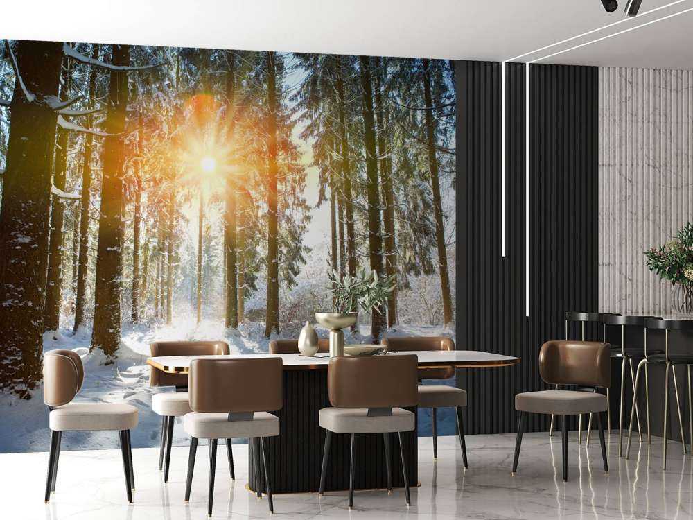 Sonnenlicht im Winterwald