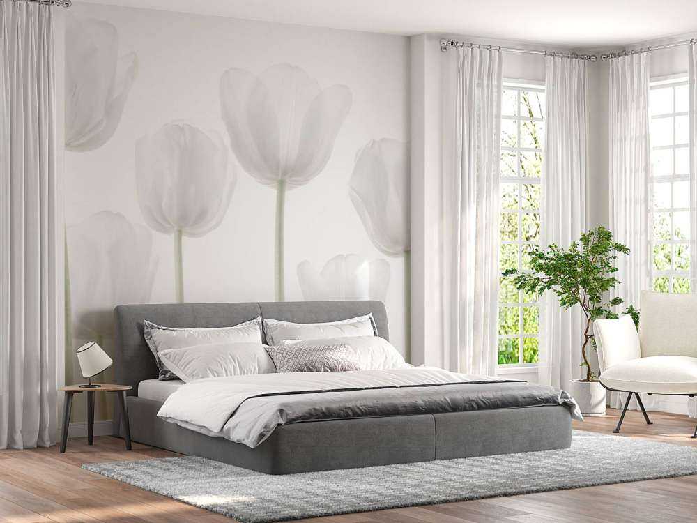 Weiße Tulpen