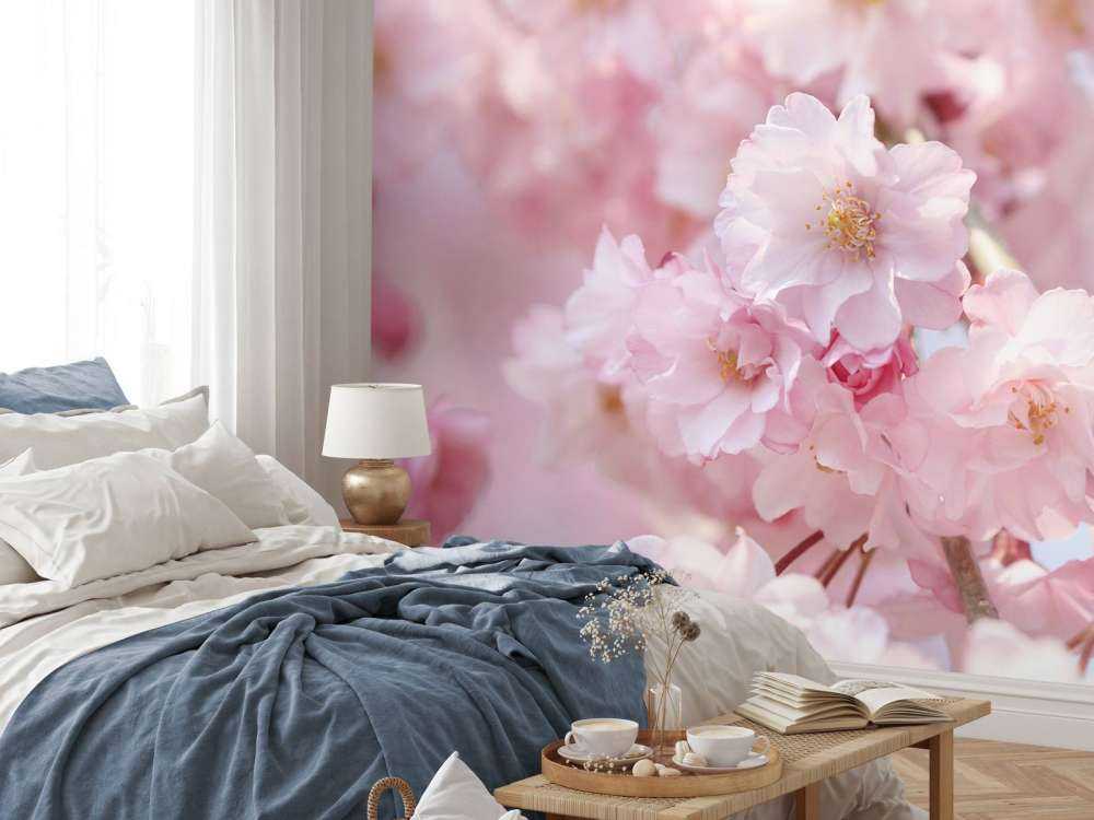 Nahaufnahme rosa Blüten