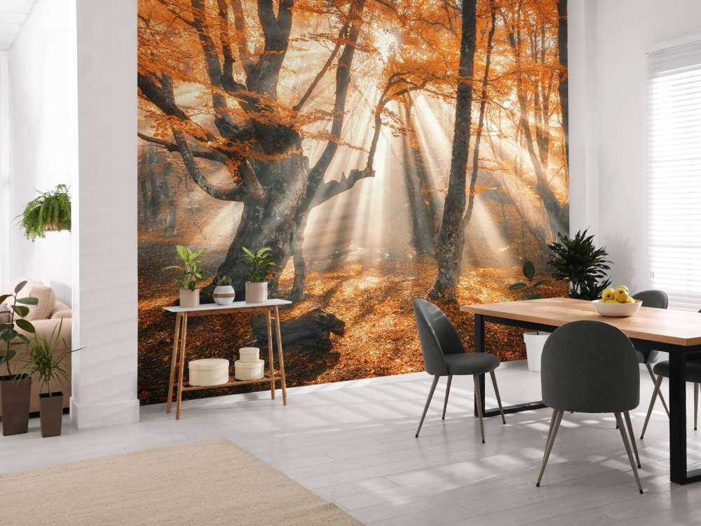 Magischer Herbstwald